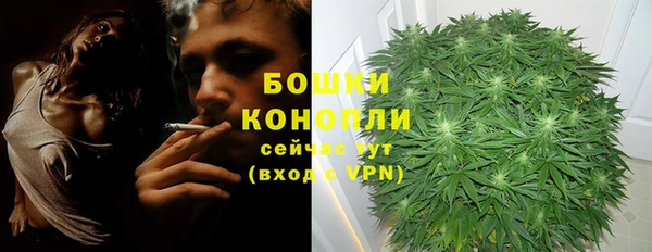 прущие крисы Костерёво