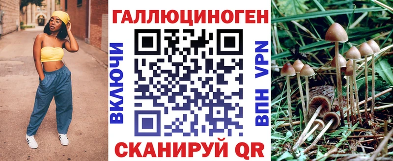 Псилоцибиновые грибы мухоморы  Купить закладки  Кяхта 